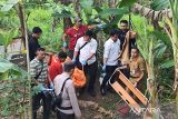 Polsek Tanjungpinang Barat evakuasi jasad pria di kebun pisang