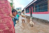Ratusan rumah dan ribuan jiwa terdampak banjir di Bima
