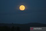 Fenomena astronomi Supermoon atau purnama perige terlihat di langit kawasan Bandara Sultan Iskandar Muda, Blang Bintang, kabupaten Aceh Besar Aceh, Aceh, Rabu (5/11/2025). Menurut Badan Meteorologi, Klimatologi, dan Geofisika (BMKG) fase purnama yang terjadi pukul 20.19 WIB itu,  jarak Bumi dengan Bulan adalah 356.980 km, dengan ukuran bulan sedikit  lebih besar dibanding purnama biasa yang memiliki semi-diameter  sebesar 16' 43,87
