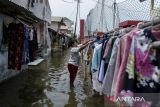 Warga menjemur baju saat terjadi banjir rob di Kampung Dadap, Kosambi, Kabupaten Tangerang, Banten, Rabu (5/11/2025). Badan Meteorologi Klimatologi dan Geofisika (BMKG) mengeluarkan peringatan dini potensi banjir rob di sejumlah wilayah pesisir Indonesia akibat fenomena supermoon atau purnama perige pada 5 November 2025 yang dapat mengakibatkan peningkatan ketinggian air laut. ANTARA FOTO/Putra M. Akbar/gp