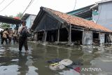 Anak-anak melintasi banjir rob di Kampung Dadap, Kosambi, Kabupaten Tangerang, Banten, Rabu (5/11/2025). Badan Meteorologi Klimatologi dan Geofisika (BMKG) mengeluarkan peringatan dini potensi banjir rob di sejumlah wilayah pesisir Indonesia akibat fenomena supermoon atau purnama perige pada 5 November 2025 yang dapat mengakibatkan peningkatan ketinggian air laut. ANTARA FOTO/Putra M. Akbar/gp