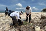 PLN UIP Nusra dan Politeknik KP Kupang gelar aksi bersih Pantai Oesina