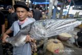 Pekerja membawa ikan barakuda hasil tangkapan nelayan di Tempat Pelelangan Ikan Cituis, Kabupaten Tangerang, Banten, Kamis (6/11/2025). Kementerian Kelautan dan Perikanan (KKP) memastikan volume penangkapan ikan nasional sepanjang tahun 2025 tidak akan melebihi tujuh juta ton seiring dengan kebijakan pengendalian aktivitas penangkapan yang lebih ketat guna mencegah eksploitasi berlebih yang dapat mengancam populasi ikan di sejumlah perairan padat tangkap. ANTARA FOTO/Putra M. Akbar/gp