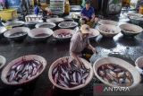 Pedagang menata ikan yang dijual di Tempat Pelelangan Ikan Cituis, Kabupaten Tangerang, Banten, Kamis (6/11/2025). Kementerian Kelautan dan Perikanan (KKP) memastikan volume penangkapan ikan nasional sepanjang tahun 2025 tidak akan melebihi tujuh juta ton seiring dengan kebijakan pengendalian aktivitas penangkapan yang lebih ketat guna mencegah eksploitasi berlebih yang dapat mengancam populasi ikan di sejumlah perairan padat tangkap. ANTARA FOTO/Putra M. Akbar/gp
