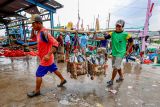 Pekerja memindahkan ikan dari kapal menuju tempat pelelangan ikan di Pelabuhan Perikanan Nusantara (PPN) Brondong, Lamongan , Jawa Timur, Rabu (5/11/2025). Menurut data pusat informasi pelabuhan perikanan Kementerian Kelautan dan Perikanan (KKP), hasil tangkapan ikan di salah satu pelabuhan perikanan utama di Indonesia itu hingga September 2025 telah mencapai 23,3 ribu ton dengan nilai produksi ikan sekitar Rp473 miliar. Antara Jatim/Muhammad Mada/um