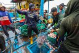 Pekerja memindahkan ikan dari kapal menuju tempat pelelangan ikan di Pelabuhan Perikanan Nusantara (PPN) Brondong, Lamongan , Jawa Timur, Rabu (5/11/2025). Menurut data pusat informasi pelabuhan perikanan Kementerian Kelautan dan Perikanan (KKP), hasil tangkapan ikan di salah satu pelabuhan perikanan utama di Indonesia itu hingga September 2025 telah mencapai 23,3 ribu ton dengan nilai produksi sekitar Rp473 miliar. Antara Jatim/Muhammad Mada/um