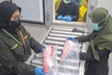 Karantina Malut periksa 25 ton tuna loin tujuan Surabaya