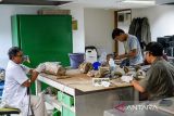 Geolog melakukan proses preparasi fosil gajah purba (Stegodon trigonocephalus) di Museum Geologi, Bandung, Jawa Barat, Rabu (12/11/2025). Tim geolog Museum Geologi mulai melakukan preparasi satu fosil gading gajah purba yang ditemukan di Nganjuk, Jawa Timur pada Oktober 2024 yang diperkirakan berusia 800 ribu tahun dengan target preparasi, konservasi, hingga pembuatan replika gading tersebut yang diperkirakan selesai pada Desember 2025. ANTARA FOTO/Raisan Al Farisi/agr