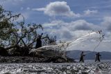 Menjala Ikan Bilih dengan Kearifan Lokal