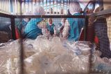 Balikpapan kuatkan kampanye pengurangan plastik sekali pakai