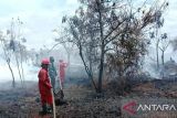Kemenhut: Dalam dua bulan terjadi lonjakan karhutla di Sumsel