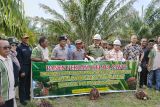 Program Replanting Sawit di Sumbar mulai menunjukkan hasil, petani di Agam panen perdana