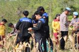 Pacu minat generasi muda, Polres Gumas libatkan pelajar panen jagung