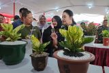 Ratusan kolektor tanaman hias ramaikan kontes di Semarang