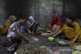Perajin membuat emping melinjo di rumah industri Emping Mulyati, Taktakan, Kota Serang, Banten, Selasa (18/11/2025). Menteri Usaha Mikro, Kecil, dan Menengah (UMKM) Maman Abdurrahman menuturkan bahwa realisasi penyaluran Kredit Usaha Rakyat (KUR) mencapai Rp238,7 triliun per 15 November 2025 atau 83,2 persen dari target Rp286,61 triliun pada tahun ini. ANTARA FOTO/Angga Budhiyanto/gp