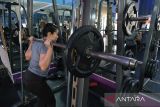 Anggota pusat kebugaran Diana Ana berolahraga angkat beban di Pontianak, Kalimantan Barat, Selasa (18/11/2025). BPS mencatat Indeks Pembangunan Manusia (IPM) Kalimantan Barat tahun 2025 mencapai 72,09, naik 0,90 poin atau 1,26 persen dari capaian 2024 yang sebesar 71,19, yang mencerminkan peningkatan pada dimensi kesehatan, pendidikan, dan standar hidup layak. ANTARA FOTO/Jessica Wuysang