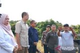 Menteri Transmigrasi tinjau lokasi pembangunan kampus patriot di Kabupaten Sigi