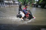 Pengendara sepeda motor melintasi banjir yang menggenangi jalan di Kawasan Sidokumpul, Sidoarjo, Jawa Timur, Kamis (20/11/2025). Curah hujan tinggi dan daya tampung sungai yang belum maksimal serta drainase yang buruk mengakibatkan banjir menggenangi sejumlah ruas jalan dan permukiman warga. Antara Jatim/Umarul Faruq