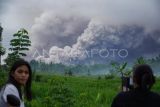 Warga melihat luncuran awan panas Gunung Semeru di Desa Sumberwuluh, Candipuro, Lumajang, Jawa Timur, Rabu (19/11/2025). Berdasarkan data PVMBG, Gunung Semeru mengalami erupsi dengan kolom abu setinggi 2.000 meter di atas puncak atau mencapai total ketinggian sekitar 5.676 mdpl dengan amplitudo gempa letusan mencapai 40 mm. ANTARA FOTO/Irfan Sumanjaya/YU
