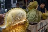 Kemenkum Sulteng catatkan Durian Montong Parigi sebagai KIK