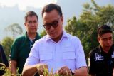Pemkab Morut tetap konsisten terhadap sektor pertanian