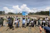 PT Vale tanam perdana demplot padi berkelanjutan di Kolaka