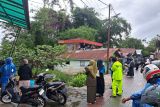 PVMBG jelaskan penyebab tanah bergerak di Ngarai Sianok Bukittinggi
