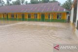 Sebanyak 1.824 warga Kabupaten Padang Pariaman terdampak banjir