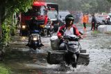 Pengendara motor melintasi banjir di kawasan Tenggilis Mejoyo, Surabaya, Jawa Timur, Senin (24/11/2025). Pemkot Surabaya melalui Dinas Pemadam Kebakaran dan Penyelamatan (DPKP) Kota Surabaya dan Dinas Lingkungan Hidup Kota Surabaya mengerahkan sedikitnya 27 kendaraan pemadam kebakaran dan truk tangki air untuk melakukan penyedotan air banjir yang menggenangi sejumlah ruas jalan akibat hujan deras yang mengguyur Surabaya pada Minggu (23/11) malam. ANTARA Jatim/Didik Suhartono/mas.