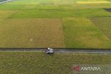 Foto udara petani memanen padi menggunakan mesin combine harvester di Desa Kapetakan, Kabupaten Cirebon, Jawa Barat, Selasa (25/11/2025). Kementerian Pertanian (Kementan) menargetkan produksi beras nasional pada 2026 mendatang dapat mencapai 34,77 juta ton sebagai upaya menjaga keberlanjutan swasembada pangan. ANTARA FOTO/Dedhez Anggara/agr