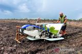 IPB: Agronomi pendayagunaan lahan cetak sawah tingkatkan produktivitas