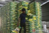Pekerja mengangkut beras Stabilisasi Pasokan dan Harga Pangan (SPHP) di Gudang Bulog Umbul Tengah, Kota Serang, Banten, Selasa (25/11/2025). Menteri Pertanian Andi Amran Sulaiman menyebutkan target produksi beras nasional pada 2026 mencapai 34,77 juta ton sebagai bagian dari upaya memperkuat kedaulatan pangan dan menjaga keberlanjutan swasembada nasional. ANTARA FOTO/Angga Budhiyanto/gp