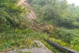 Jalan provinsi penghubung Agam-Bukittinggi tertimbun longsor (Video)
