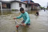 Anak-anak mengayuh sepedanya melintasi banjir di Parak Jambu, Dadok Tunggul Hitam, Padang, Sumatera Barat, Selasa (25/11/2025). Intensitas curah hujan tinggi membuat sejumlah sungai besar di kota itu meluap dan merendam ratusan rumah. ANTARA FOTO/Iggoy el Fitra/sgd