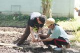 Imigrasi Labuan Bajo-SLBN Komodo menanam pohon lestarikan lingkungan