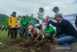 DPRD NTB canangkan gerakan Dompu Hijau tanam 1.000 pohon