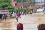 Bencana banjir Pesisir Selatan: 4.256 rumah terendam, 21.280 jiwa terdampak, 1 warga meninggal dunia