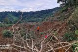 Tim Gabungan BPBD Pasaman Barat terus berupaya cari korban longsor
