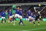 Newcastle permalukan Everton 4-1, Spurs takluk 0-1 lawan Fulham