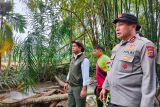 Menteri Kehutanan ikut bantu evakuasi korban banjir bandang di Agam (Video)