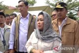 Titiek Soeharto minta aktivitas pembalakan liar ditertibkan demi antisipasi bencana