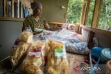 Rumah produksi keripik di kawasan Situs Geopark Meratus. Pelaku usaha menyelesaikan pembuatan keripik tempe di Rumah Produksi Mama Putri, kawasan Situs Geopark Meratus Goa Batu Hapu, Kecamatan Hatungun, Kabupaten Tapin, Kalimantan Selatan, Senin (1/12/2025). Keberadaan UMKM lokal yang menjajakan produk makanan ringan tersebut turut mendapat manfaat dari penetapan Geopark Meratus sebagai UNESCO Global Geopark, seiring kunjungan wisatawan yang meningkat serta peluang pengembangan ekonomi berbasis masyarakat. ANTARA/Bayu Pratama S