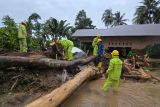 PLN UID Sumatera Barat percepat recovery pascabencana, pulihkan 68% listrik rakyat terdampak banjir & longsor