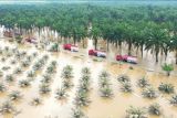 Kemensos kebut pengiriman bantuan korban banjir di Aceh Tamiang