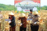 Polres Karanganyar panen jagung kuartal IV, dorong ketahanan pangan dan ekonomi desa