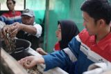 PHE bersama warga Desa Makartitama OKU wujudkan lingkungan hijau dan mandiri melalui Kompas Lestari