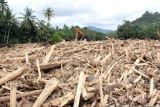 Kayu gelondongan banjir Sumatera indikasi libatkan manusia