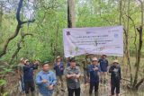 ANTARA Jambi-Pemkab Tanjab Barat tanam mangrove di Pangkal Babu