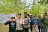 Pemkab Tanjung Jabung Barat terus benahi jalan ke area ekowisata mangrove