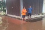 BPBD Tanjab Timur: Banjir rob rendam jalan dan halaman rumah warga